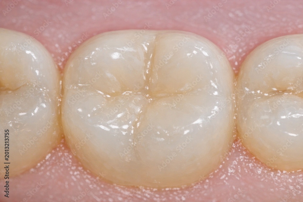 Fototapeta premium A detailed view of a tooth with a noticeable absence, often used in dental or oral hygiene illustrations