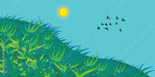Summer landscape illustration featuring a vibrant green grass field under a bright sun and blue sky with soft white clouds