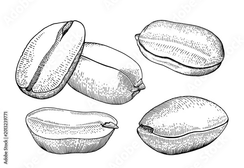 Foto Vector set of peanut kernels and halves, hand drawn vintage engraving illustrati
