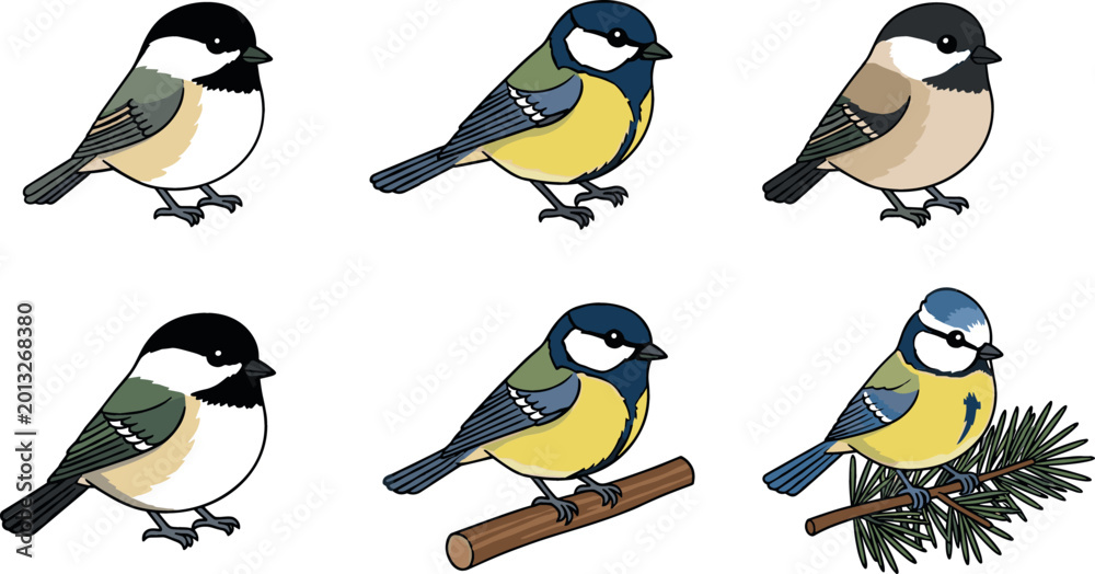 Fototapeta premium Vector illustration set of small garden birds including great tit chickadee and blue tit perched on branches for nature wildlife and birdwatching design.