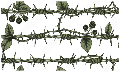 Obraz na płótnie Wire entwined with ripe blackberries and green leaves on a white background