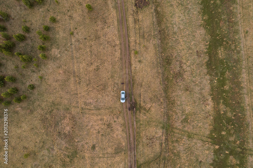 Top drone view of car on dirt road crossing dry grass field in countryside