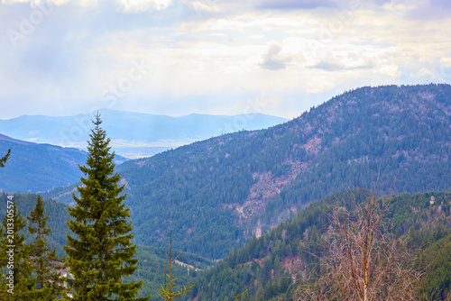 Fotografía Scenic mountain landscape with dense forest and distant hills on cloudy day