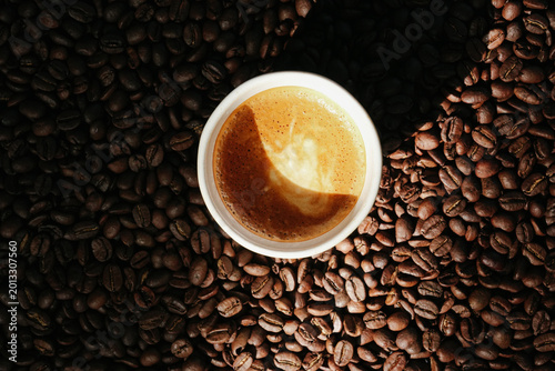 Cinematic Espresso Header: Dramatic Chiaroscuro Lighting on Golden Crema and Roasted Beans