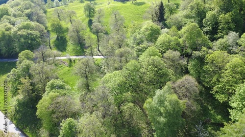 BOSCO CON RUSCELLO