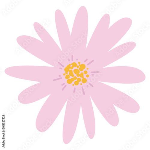 vector illustration of a pink daisy