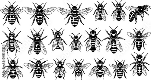 Billede på lærred Black and White Vector Illustration of Various Honey Bee Shapes, Ideal for Print