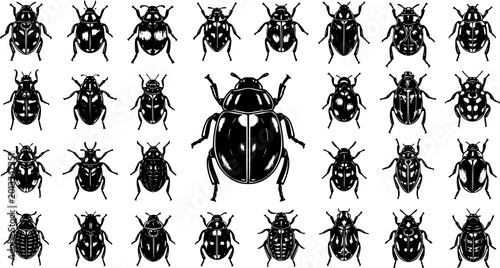 Fotografie Insect Vector Illustration: Collection of Various Beetle Types in Black and Whit