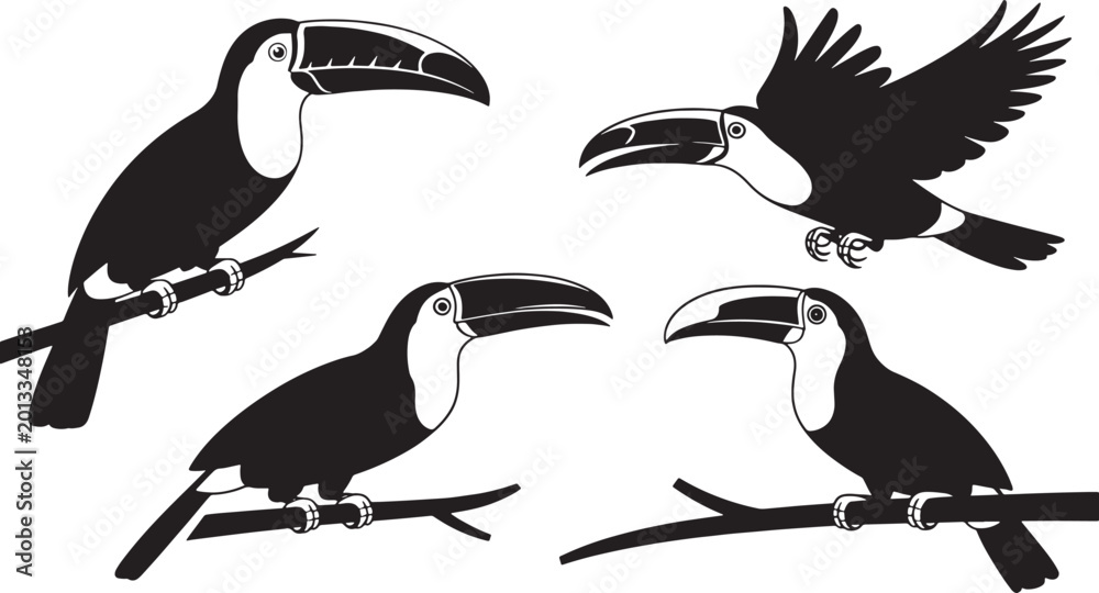 Fototapeta premium Black and white silhouette of four toucans perched on branches and one in flight