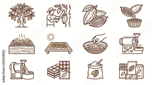 Cocoa beans and chocolate products.