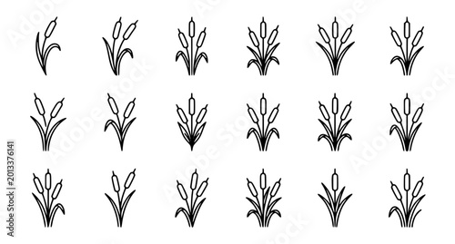 Photos Simple cattail reed line art logo icons with modern botanical minimalist vector