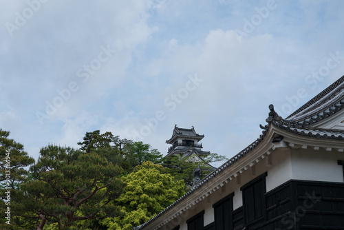 Kochi Castle, a famous landmark