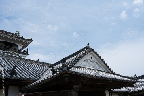 Kochi Castle, a famous landmark