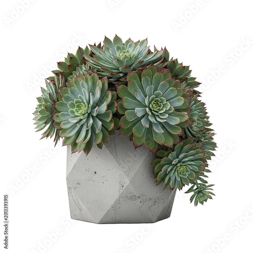 A lush arrangement of green succulents planted in a modern geometric concrete pot.