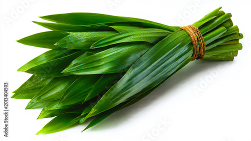 Fresh pandan leaves, long, glossy, bright green leaves folded gracefully, a smooth, natural curve. Pandanus leaves are used in cooking as a green dye and fragrance.