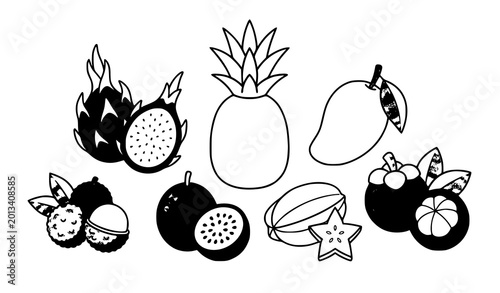Photos Exotic tropical fruit vector set with pitahaya pineapple mango and mangosteen is