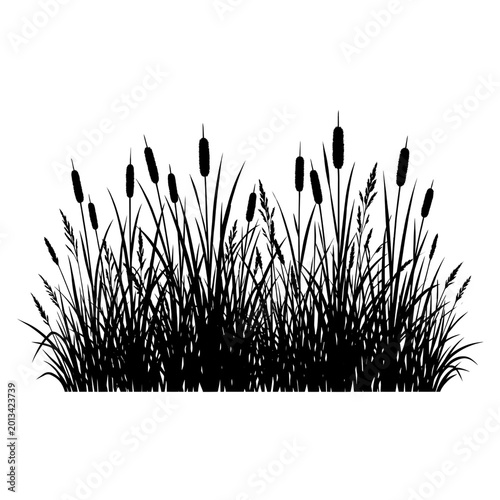 Black Silhouette of Cattails and Reeds on White Background