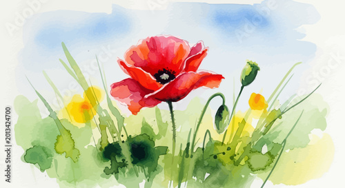 Photos Red Poppy Flower in Blooming Field.
