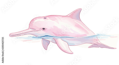 Bild auf Leinwand Pink Dolphin Swimming in Water.