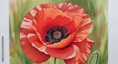 Bild auf Leinwand Vibrant Red Poppy Flower Closeup.