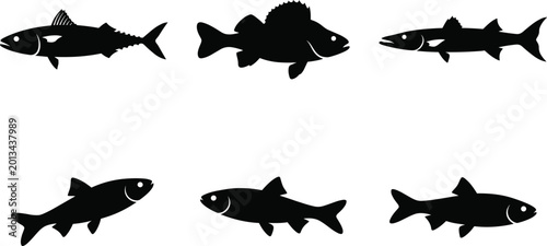 Foto Black fish silhouettes arranged in two rows showing diverse aquatic species with