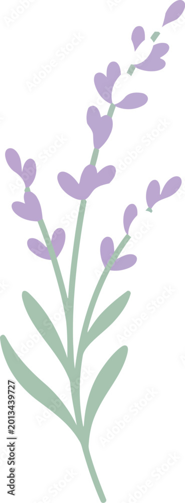 Naklejka premium Lilac flowers isolated on white background floral spring blossom illustration