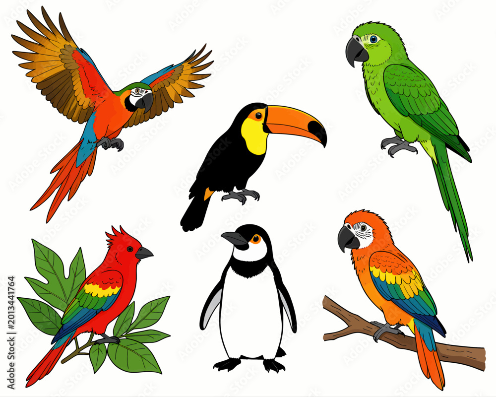 Fototapeta premium Collection of Diverse Tropical Birds and Exotic Wildlife Illustrations