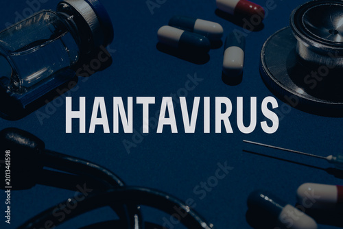 hantavirus　ハンタウイルス