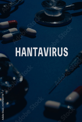 hantavirus　ハンタウイルス