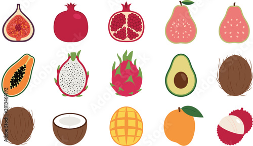 Cuadro en lienzo Exotic fruit vector icon collection with fig pomegranate pear papaya dragon frui