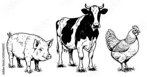 Black and white line art illustration of farm animals pig cow and chicken standing