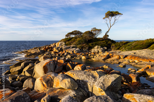 Bay of Fires, Tasmania, Australia