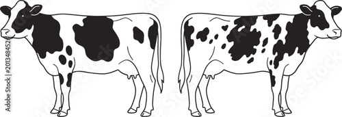 Obraz na płótnie Black and White Holstein Cow Vector Illustrations Depicting Farm Animals, Dairy