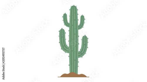 Εκτύπωση καμβά Green cactus plant in the desert.