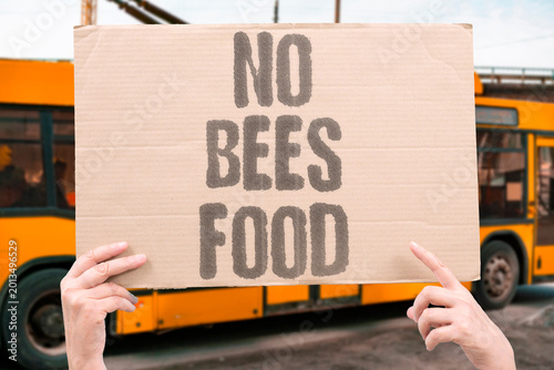 Fotografie "No Bees Food" Agricultural crop yields depend fundamentally on active pollinator populations