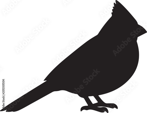 Northan Cardinal.eps