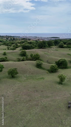 Aerial View of Lush Green Rolling Hills with Grazing Animals and Coastal Ocean Horizon