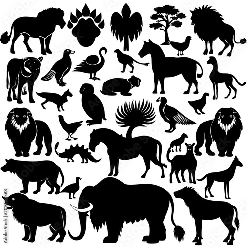 Photography Animal Silhouettes Collection