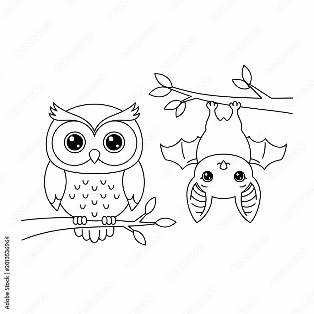Fototapeta premium Nocturnal Animals Owl and Bat on Tree Branch Coloring Page
