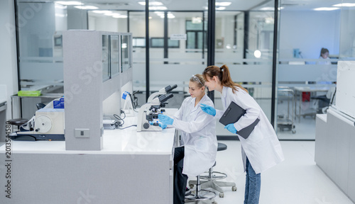 Scientists work together in a lab with microscopes in a modern research facility during daytime hours