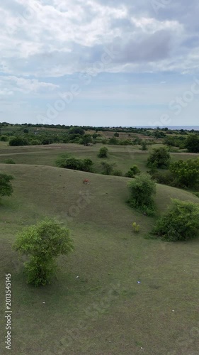 Expansive Green Hills and Grazing Cattle under Cloudy Skies with People Relaxing in a Tranquil Rural Landscape