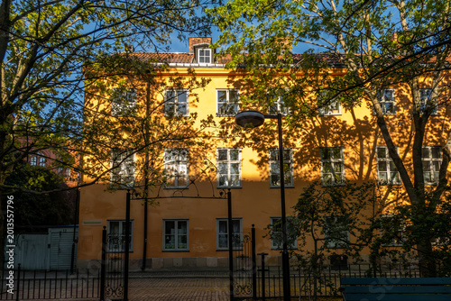 Photography Stockholm, Sweden  The tree-lined Skaraborgsgatan street on Sodermalm
