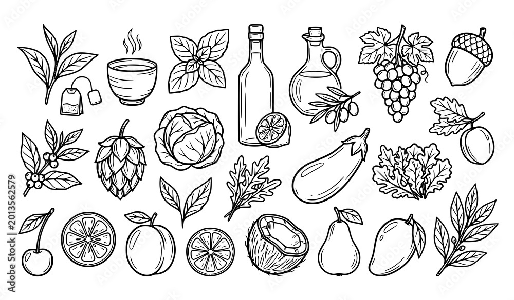 Fototapeta premium Modern Botanical Food Line Icon Set with Green Tea Fruits Vegetables and Organic Ingredient Symbols