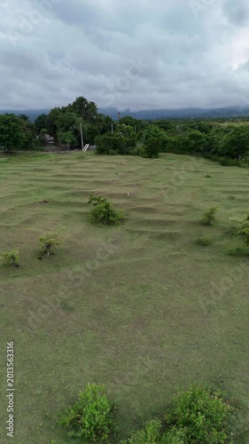 Aerial View of Vast Green Rural Fields with Scattered Trees and Cows under an Overcast Sky