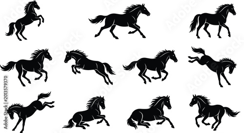 Fotografie Silhouettes of horses in dynamic poses including galloping, rearing, trotting, a