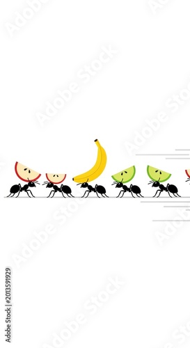 Ants Carrying Food - A Collaborative Effort.