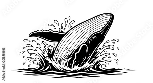 Whale breaching from ocean waves, black and white illustration of marine mammal in water splash