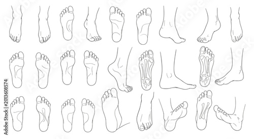 Large set of human foot and sole outlines showing various positions, structures, and anatomical details for medical use.