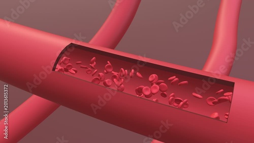 Red Blood Cells flow in the vein animation. Full HD. 4K
