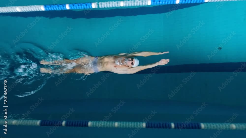 Top view shot of man swimming back crawl in indoor pool lane. Sports ...